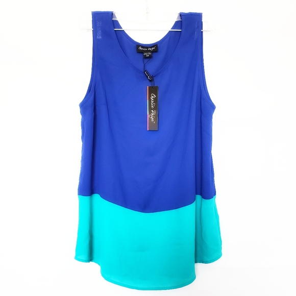 Charlie Paige Color Block Chiffon - Picture 3 of 7